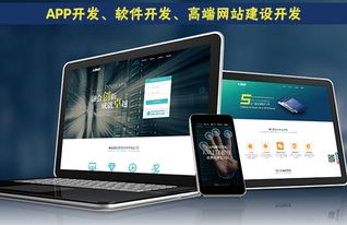 天津軟件開發網站開發的語言概念