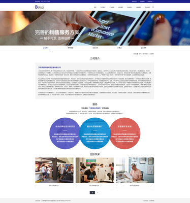 天津網站開發之奔唐網絡互聯網軟件開發官網